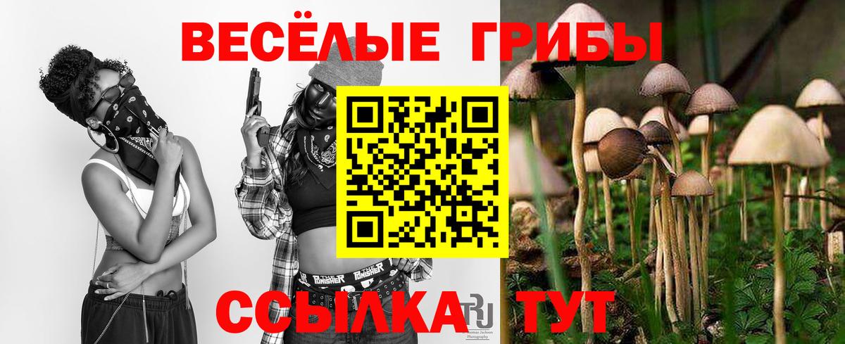 Острогожск  наркошоп  Вход с VPN  Псилоцибиновые грибы GOLDEN TEACHER 