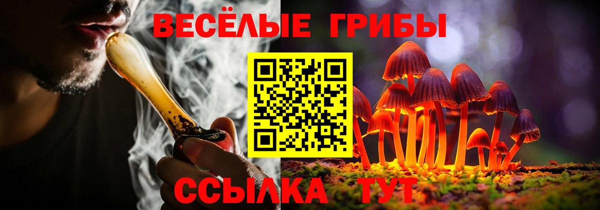Галлюциногенные грибы Magic Shrooms Острогожск
